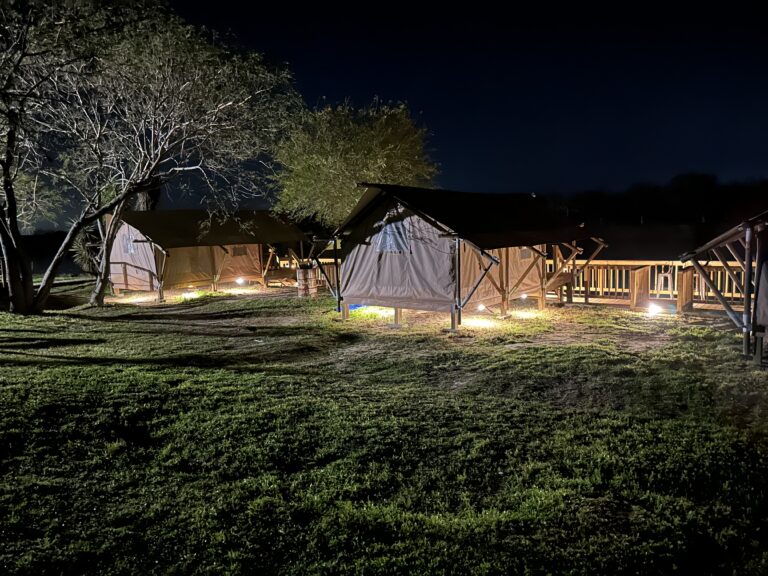 Glamping safari tents lit up at night on the lawn at Rocket Ranch
